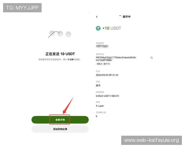 k8钱包下载安装教程详细指南，帮助新手快速注册并安全使用