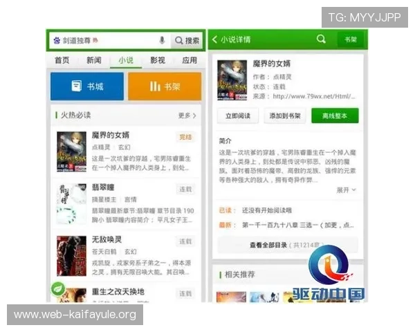 凯发网娱乐会员登录入口官网下载常用登录方式，满足不同用户的多样化需求